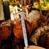 Viking Sword