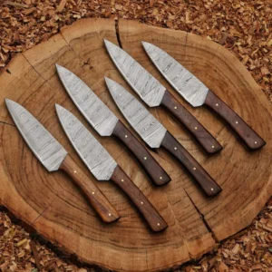 Damascus Steak Knife